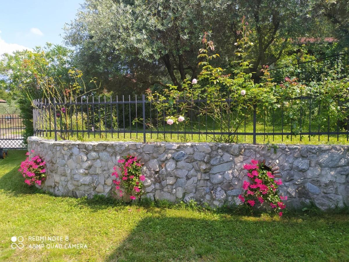 Mary Rose Apartments Oliveto Lario 외부 사진
