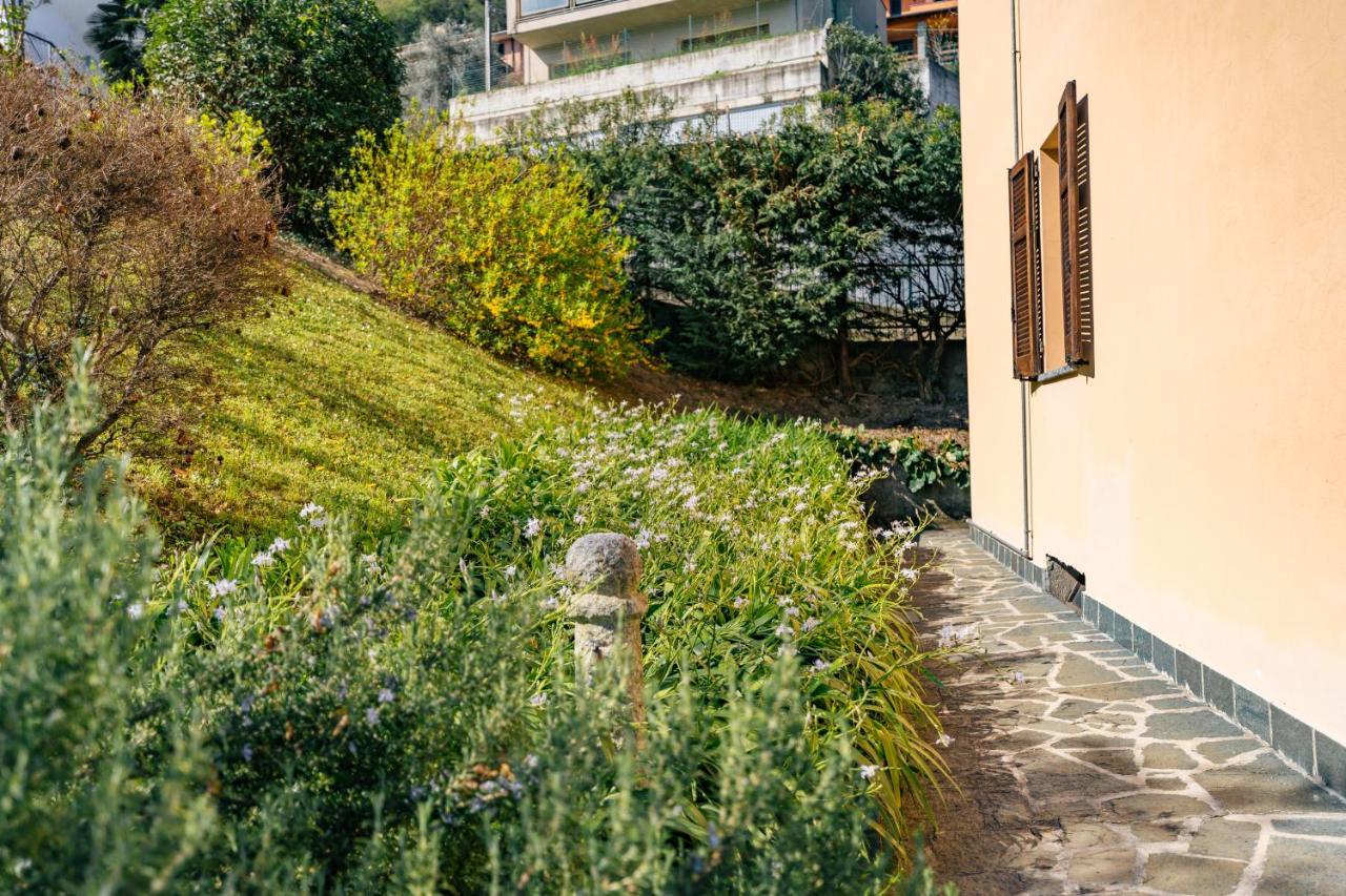 Mary Rose Apartments Oliveto Lario 외부 사진